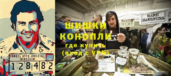 сатива Горнозаводск