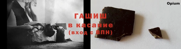 сатива Горнозаводск
