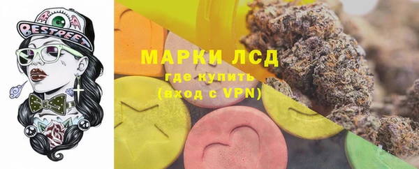 сатива Горнозаводск